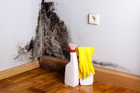 Best Mold Odor Removal Services in Ashtabula, OH